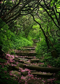 疯茉采集到风景