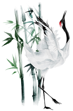 Thistle_采集到素材