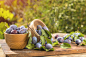 Fresh plums on wooden table in sunny day in garden by Victoria Kondysenko on 500px