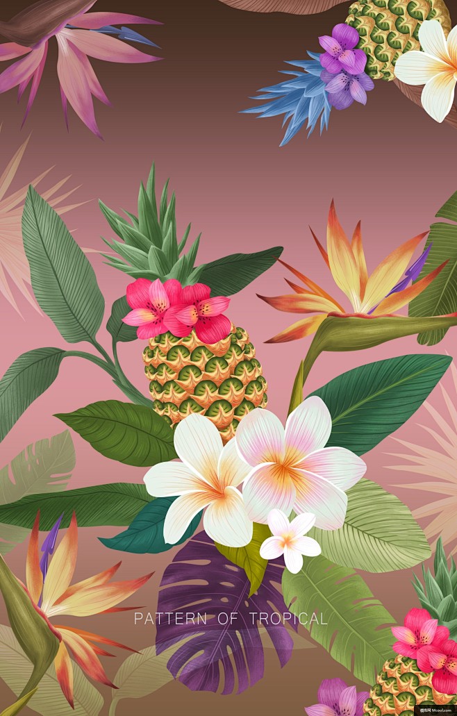 花型丛林动物植物热带丛林插图热带植物插图热带植物植物花卉插画绘画