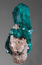 godzirrraaaaa:

Dioptase with Calcite / Qaragandy Oblysy, Kazakhstan