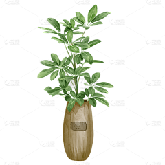人间至味是清欢啊采集到植物花卉设计元素