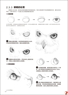 这个夏天有点热_miss采集到素描