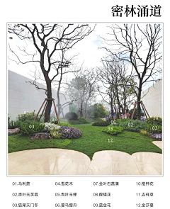 markchao采集到绿化