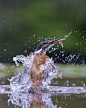 43903641712_e94595b1cb_h.jpg (1280×1600)