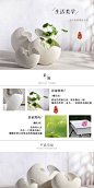 250详情页 描述模板 代理商 花瓶 花器，家居装饰摆件，清新简约日式古典