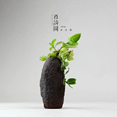 蚊子someday采集到陶艺
