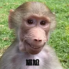 有懂日语的家人们后面的表情包啥意思