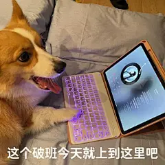 宠物表情包_百度图片搜索
