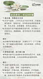 #今日头伏#【“蒸笼模式”开启！速转伏天实用养生指南】全国多地进入"蒸笼模式"，局地温度超40℃。今年三伏天共40天：7月12日交“初伏”，7月22日交“中伏”，8月11日交“末伏”，8月21日“出伏”。“头伏”吃饺子有啥讲究？伏天养生要注意啥？中暑时如何急救？…伏天养生指南↓转存备战“桑拿天”！ ​​​​