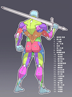 Dilikuka采集到【人体】动态  肌肉  结构