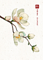 小景物插画练习