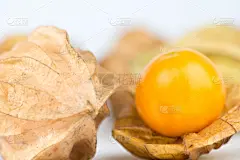 醋栗,食品,关闭的,背景,正下方视角,自然,水平画幅,橙色,水果,樱桃