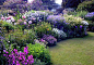 English garden: 