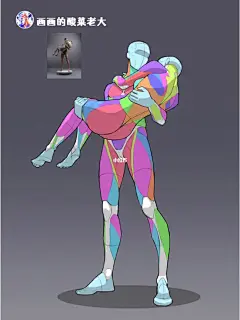 女人体肌肉概括图18/100