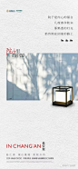 图片 (51)