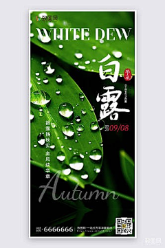 致图网小于采集到白露海报