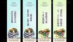 【荣华·宝格丽小镇】形象策略沟通案2017.02.22
6大世界级区域资源＋5大精工级本体资源
荣华 宝格丽小镇-----秦汉新城区域名片
如梦  造极
世界市镇 艺墅之都 ​​​​