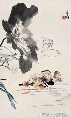王雪涛笔下的荷塘意趣