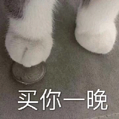 八楼的懒猫采集到哈哈哈