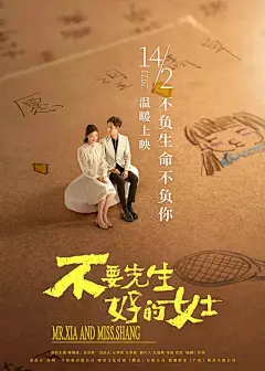 不要先生与好的女士 海报