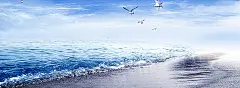 大气,海天,海鸥,蓝色,波浪,海报banner图库,png图片,网,图片素材,背景素材,3739178@北坤人素材
