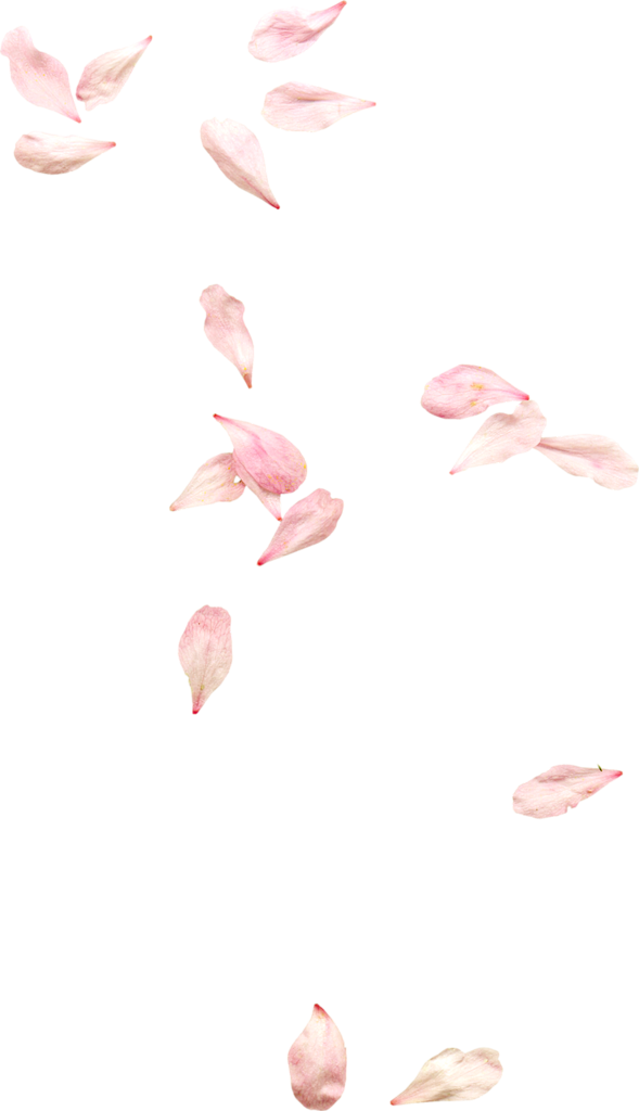 花 粉色 桃花 春天 png 花朵 樱花...