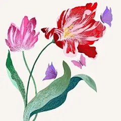 水彩--鸢尾花 - 高清图片，堆糖，美图壁纸兴趣社区