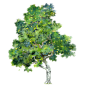 免扣背景PNG素材#手绘树木图片素材绿色树木创意树木#