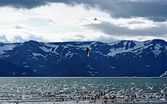 2K 风景壁纸集 (913)