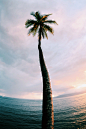 (76) Tumblr