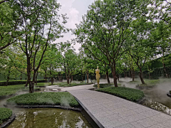 HoTaRu采集到植物