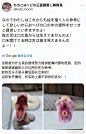 bb1d676dgy1hx9vbv2rxdj20u01aogrv.jpg (1080×1680)
