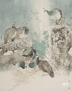 画中的荷塘，鸟语鱼欢～ - 小红书