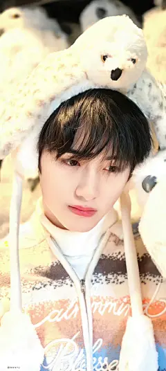 kpop｜董思成winwin｜江浙沪 潮男 壁纸