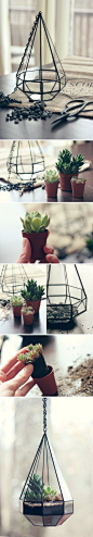 faceted glass hanging terrarium DIY