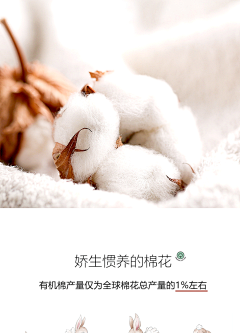 9331424采集到素材
