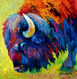 来自画家 Marion Rose 动物绘画作品  |   marionrose.com ​​​​