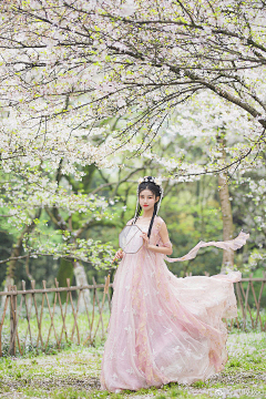 南山有梅采集到汉服写真之惊鸿一瞥