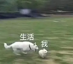 生活与我表情包，真实到想落泪…… : 普希金曾经在中学课本里面告诉我们： 假如生活欺骗了你，不要悲伤，不要心急！忧郁的日子里须要镇静，相信吧！快乐的日子将会来临。 这些话，经历过生活中起起落落落落落落落落落落落落落落落落落落落落后的你们，…