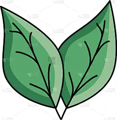 分离着色,叶子,植物,图标,生物学,有机食品,自然,摆拍,概念,环境