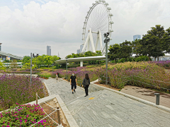 yunaaaa采集到公园植物景观