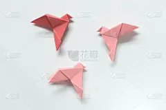 折纸工艺,鸟类,自由,创造力,概念,粉色,光,树荫,背景,反差
