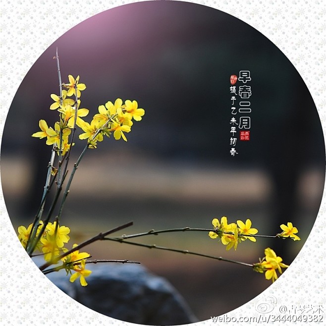金英翠萼带春寒，黄色花中有几般。恁君与向...