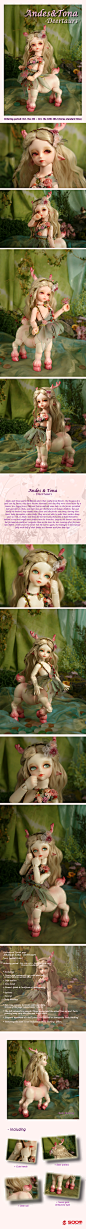 SOOM Andes&Tona小鹿 1/6 BJD SD娃娃（马体身体）眼泥-淘宝网