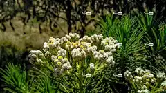 冒险 笔记本电脑壁纸 亚洲 背景 背包旅行 自由背景 美丽的 棕色