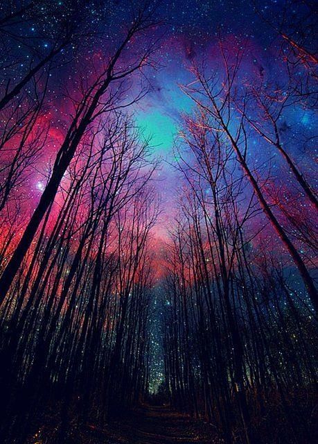 Northern Lights#星空# ...