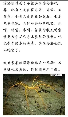 Mnsz943采集到人文社科