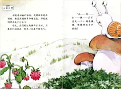【绘本322】蜗牛小知识 - 小红书