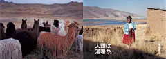 MUJI 温暖人间（Humanity: Warm?）｜海报｜2012